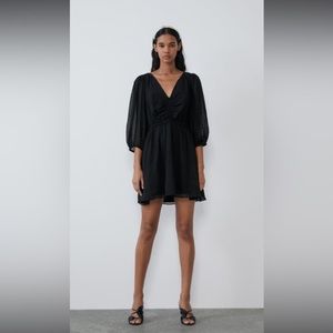 Zara Swiss Dot Dress